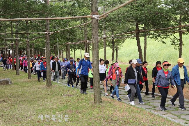 기사 대표 이미지