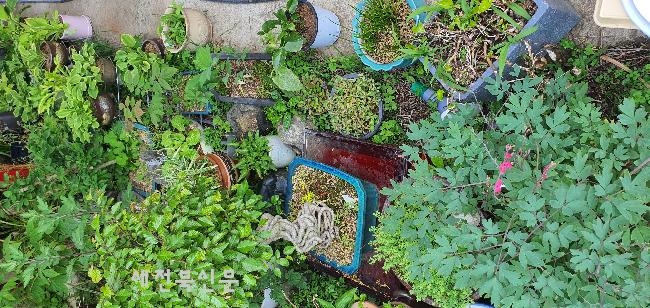 기사 대표 이미지