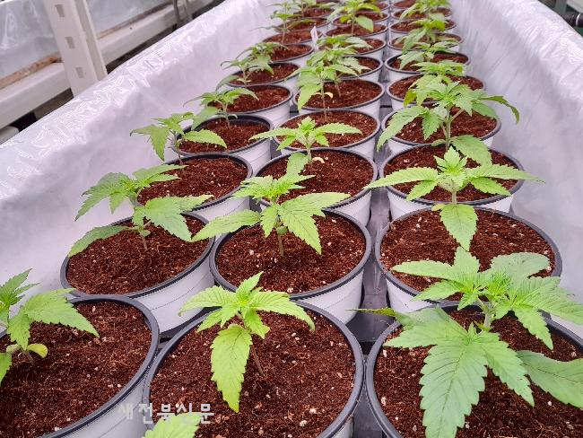 기사 대표 이미지