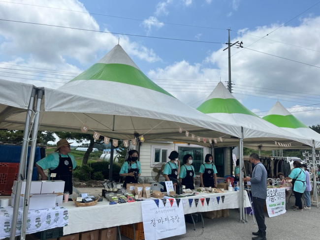 기사 대표 이미지