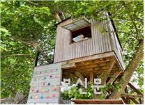 기사 대표 이미지