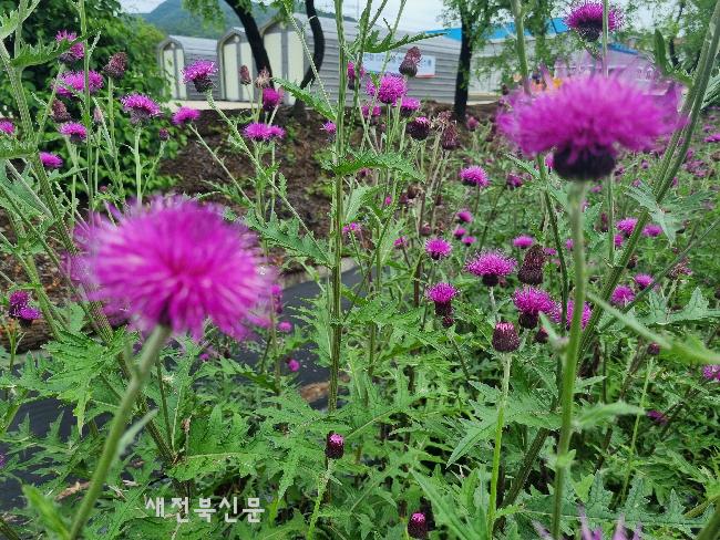 기사 대표 이미지