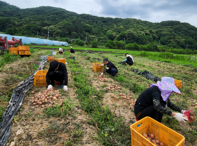 기사 대표 이미지