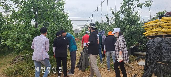 기사 대표 이미지