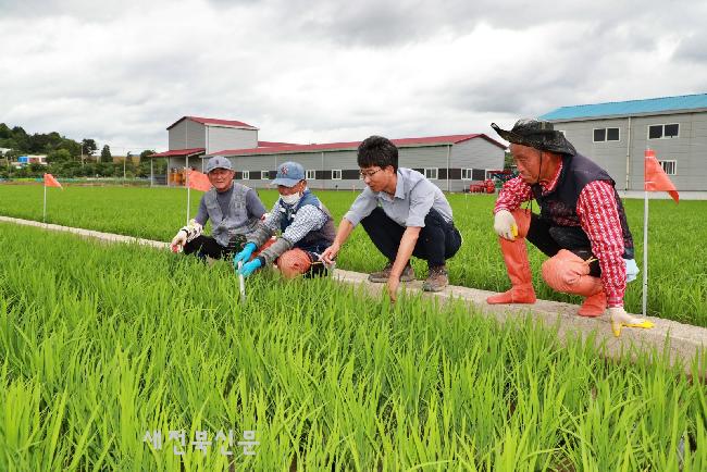 기사 대표 이미지