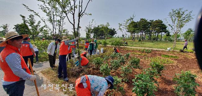 기사 대표 이미지