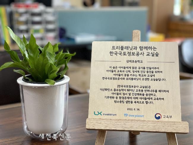 기사 대표 이미지