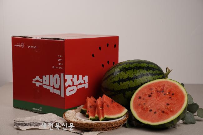 기사 대표 이미지