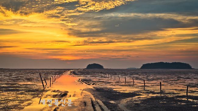 기사 대표 이미지