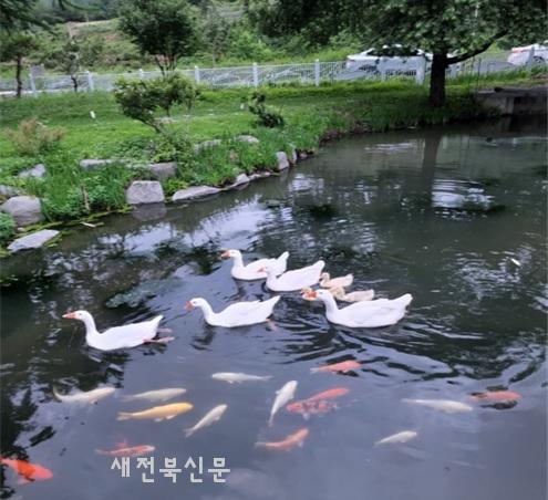 기사 대표 이미지