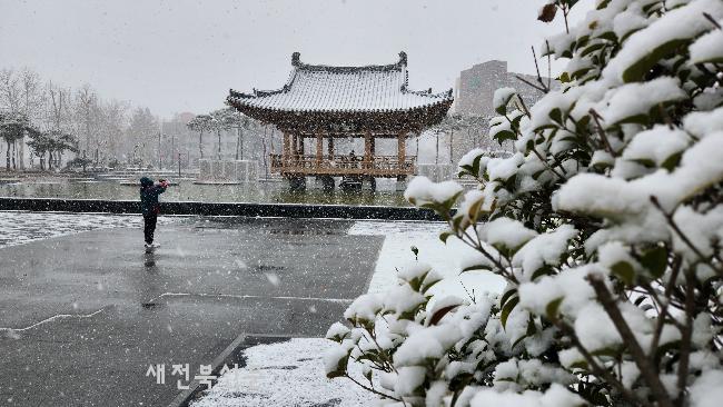 기사 대표 이미지