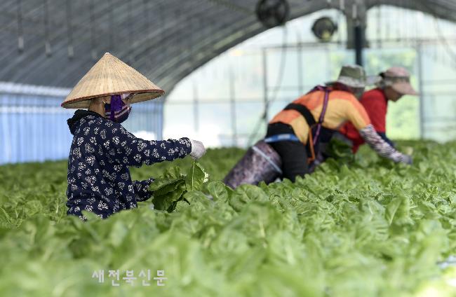 기사 대표 이미지