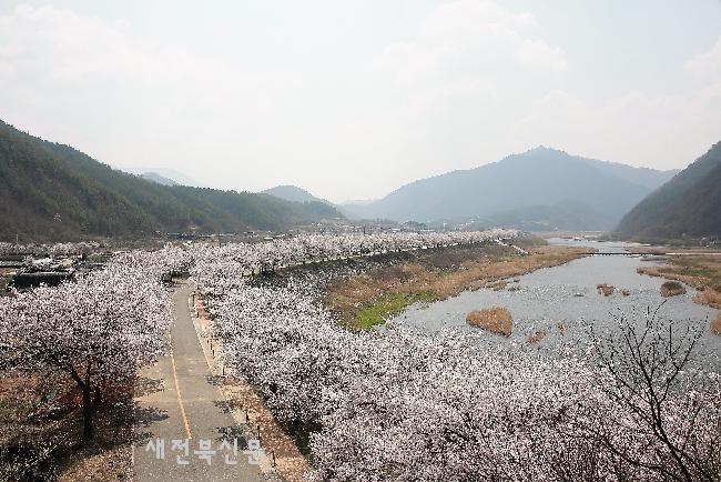 기사 대표 이미지