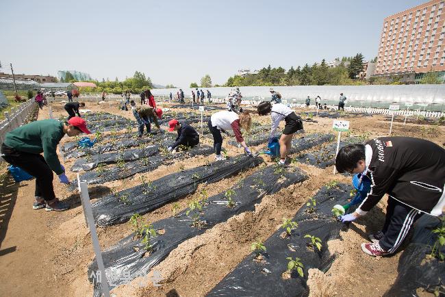 기사 대표 이미지