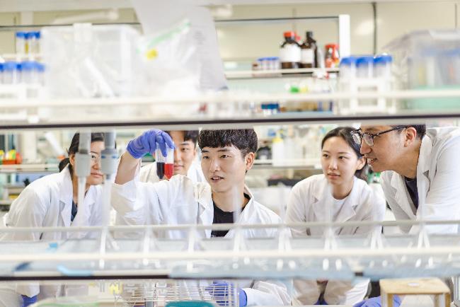 기사 대표 이미지