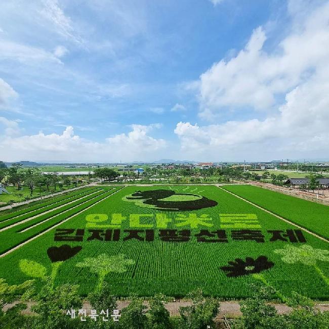 기사 대표 이미지