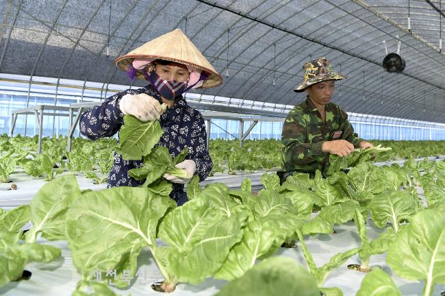 기사 대표 이미지