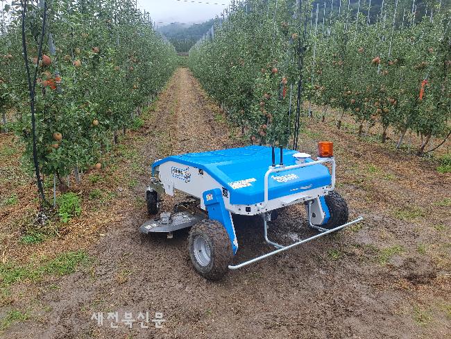 기사 대표 이미지