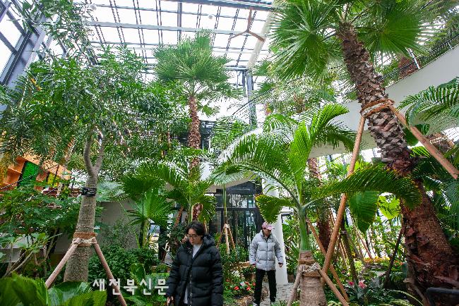 기사 대표 이미지