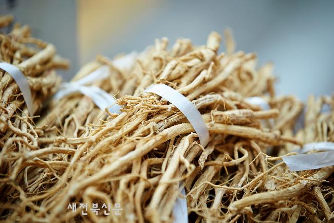 기사 대표 이미지