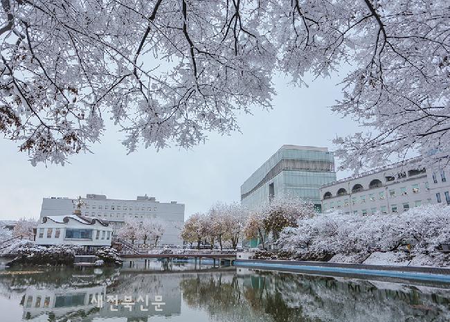 기사 대표 이미지