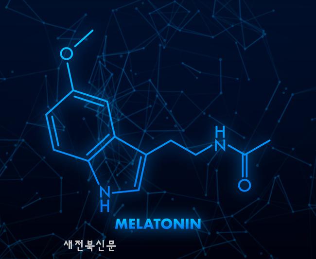 기사 대표 이미지