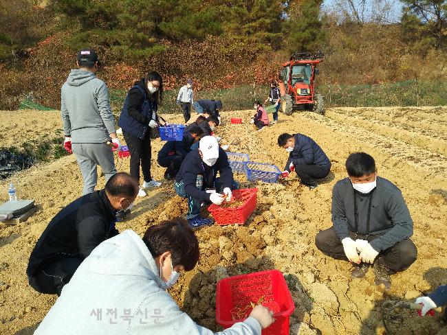 기사 대표 이미지