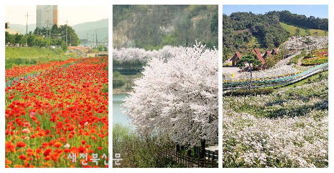기사 대표 이미지