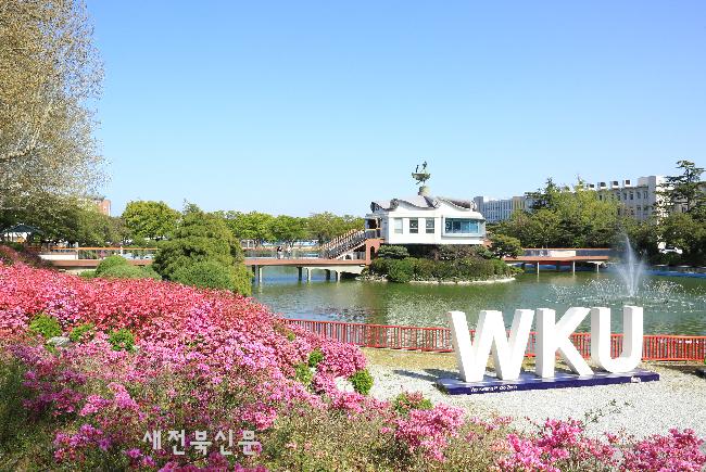 기사 대표 이미지