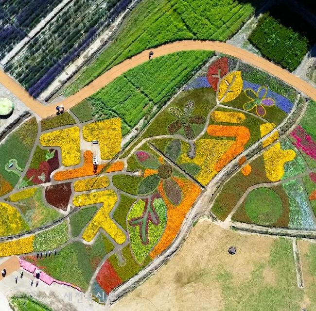 기사 대표 이미지