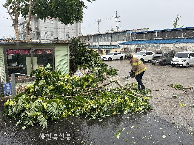 기사 대표 이미지