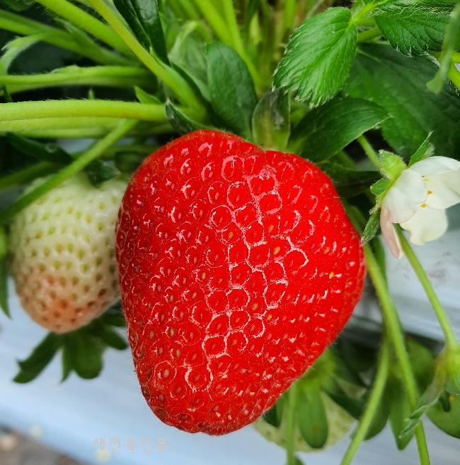 기사 대표 이미지