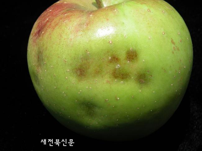 기사 대표 이미지