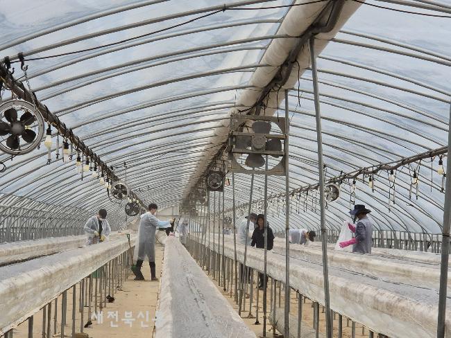 기사 대표 이미지