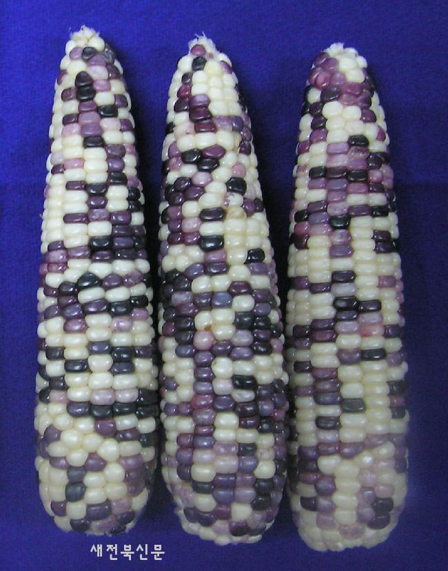 기사 대표 이미지