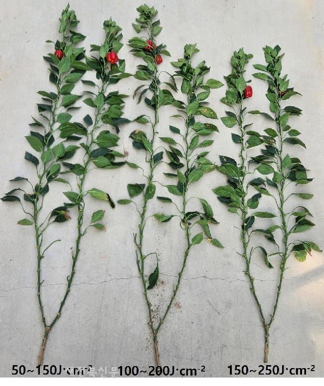 기사 대표 이미지