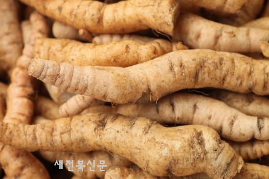 기사 대표 이미지
