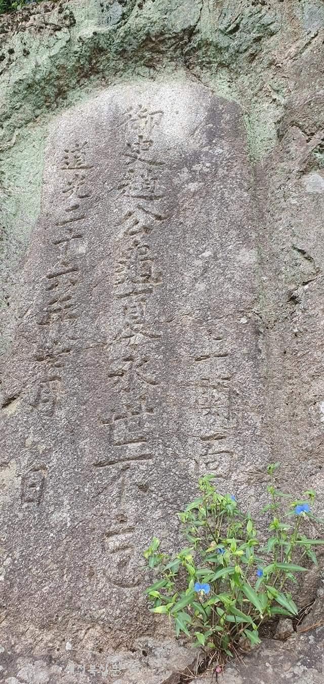 기사 대표 이미지