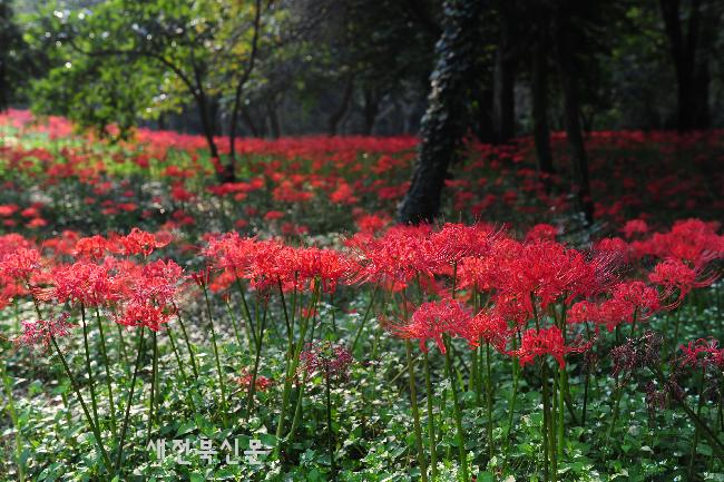 기사 대표 이미지