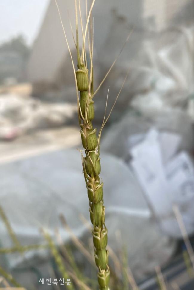 기사 대표 이미지