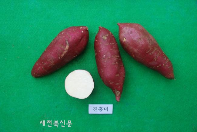 기사 대표 이미지