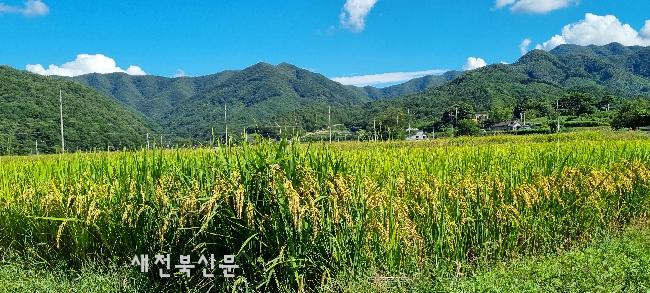 기사 대표 이미지