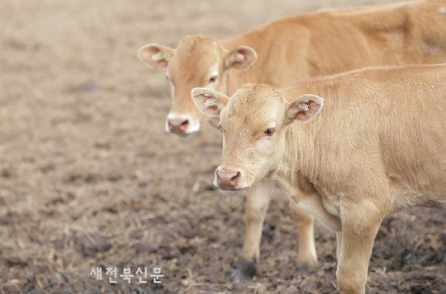 기사 대표 이미지