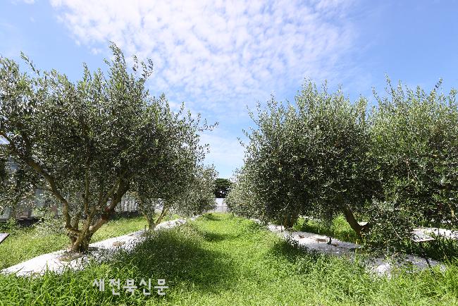 기사 대표 이미지