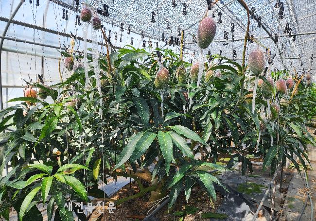 기사 대표 이미지