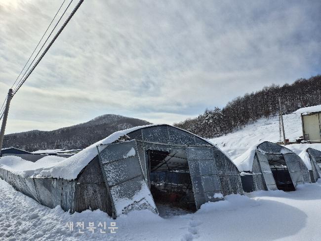기사 대표 이미지