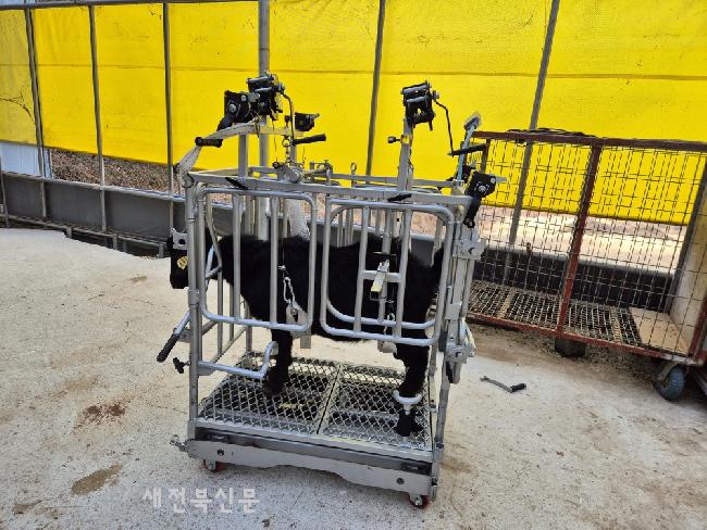 기사 대표 이미지