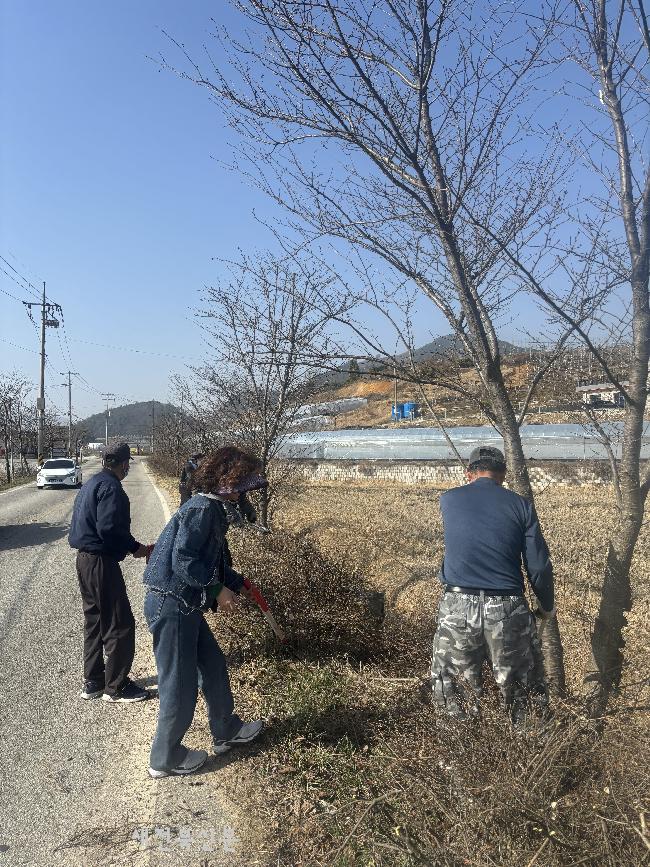 기사 대표 이미지