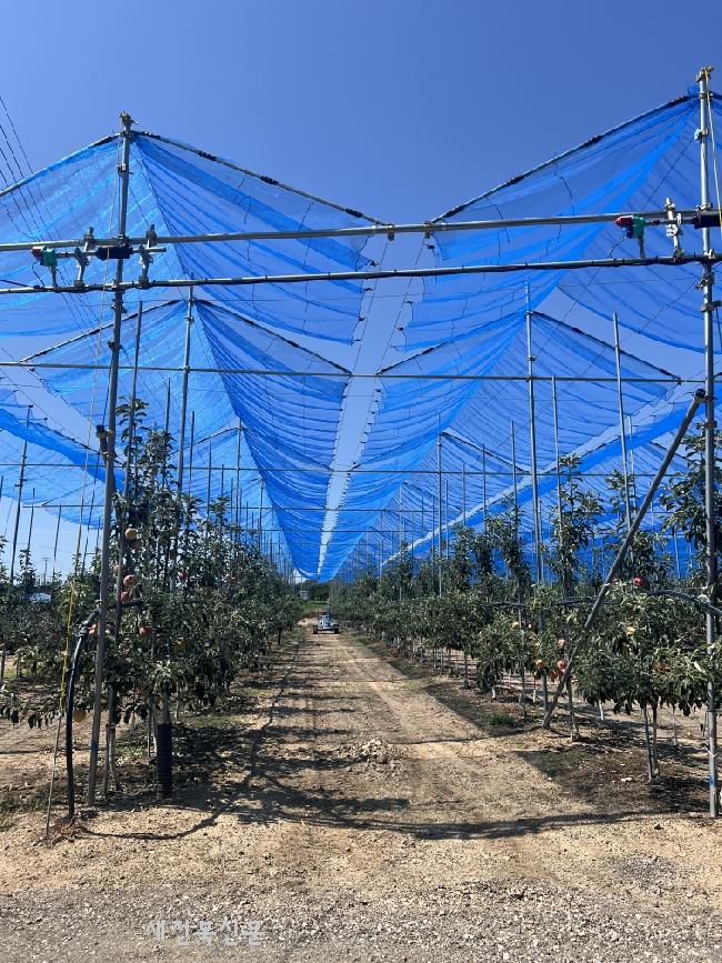 기사 대표 이미지