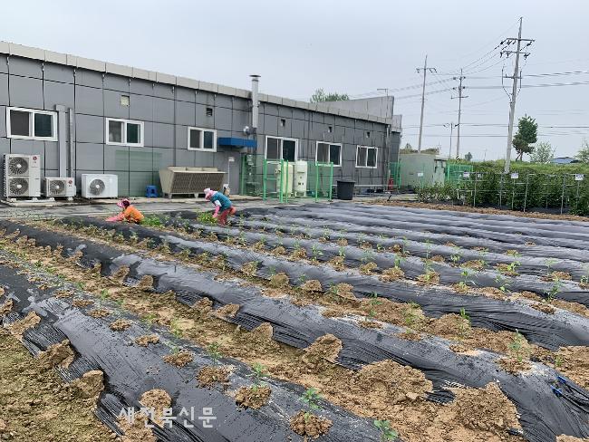 기사 대표 이미지